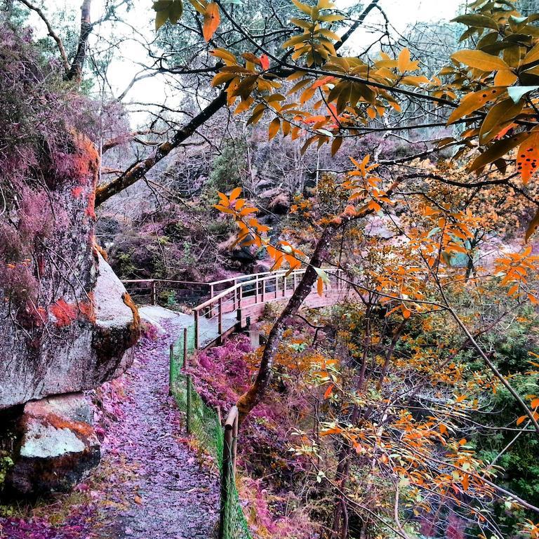 Finca El Remanso ξενώνας Mondoñedo Εξωτερικό φωτογραφία