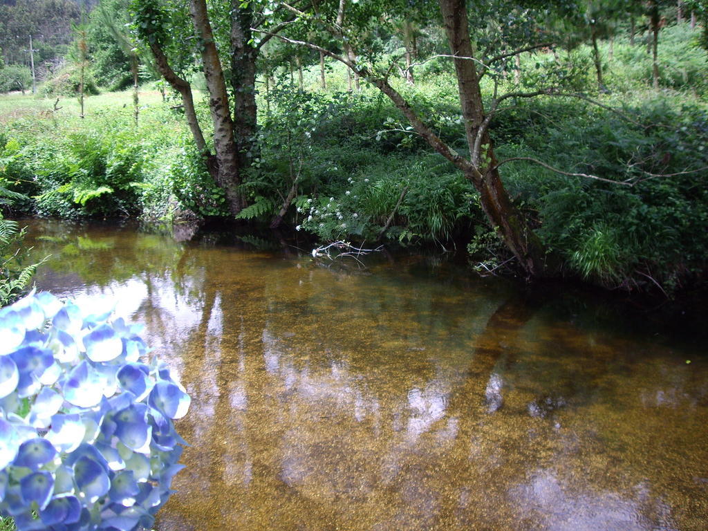 Finca El Remanso ξενώνας Mondoñedo Εξωτερικό φωτογραφία